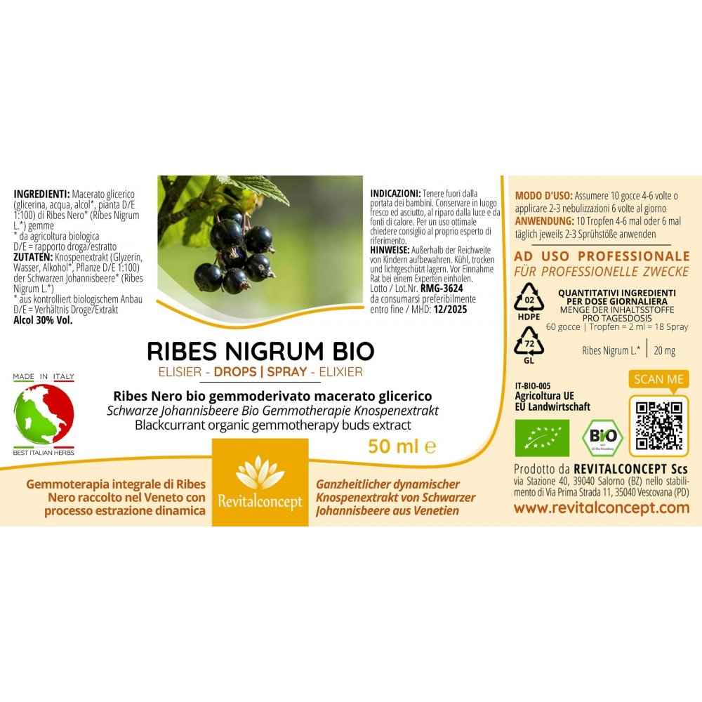 RIBES NIGRUM Blackcurrant Gemmotherapy Bud Extract Organic 50 ml