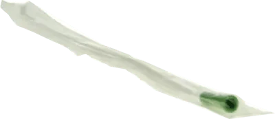 Single use disposable catheters, DISPOSABLE CATHETER Tiemann Ch 14 - UKDorf