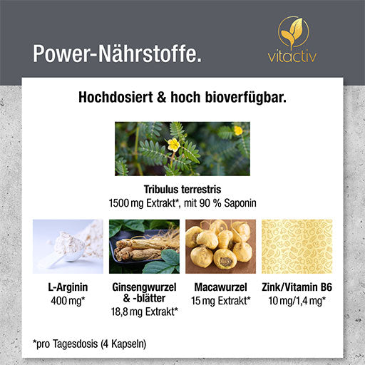 TRIBULUS TERRESTRIS CAPSULES - UKDorf