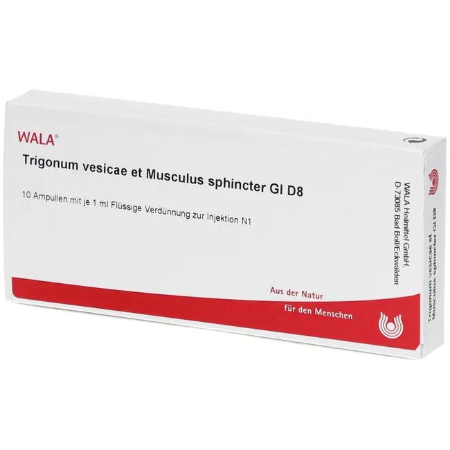 Trigonum vesicae and Musculus sphincter Gl D 8 - UKDorf