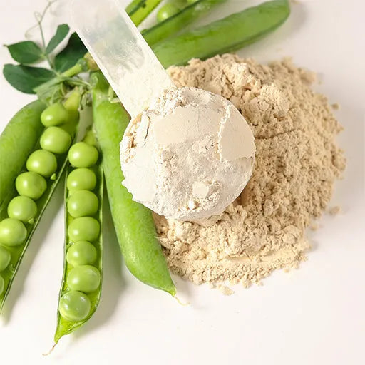 VEGAN PROTEIN HIT Dr.Jacob's powder - UKDorf