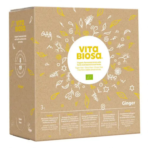 VITA BIOSA Ginger Herbal Fermented Drink - UKDorf