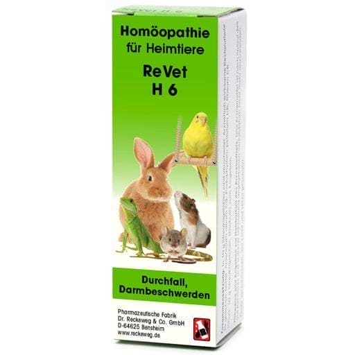Acute and chronic diarrhea, gastroenteritis, intestinal complaints, REVET H 6 globules for pets - UKDorf