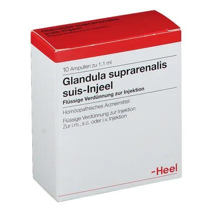 Addison's disease, bronchial asthma, GLANDULA SUPRARENALIS - UKDorf