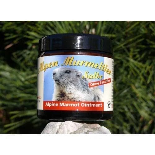 ALPEN MARMOT ointment, restoring vitality, blood circulation - UKDorf