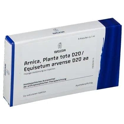 Arnica montana, Equisetum, field horsetail (equisetum arvense) ampoules - UKDorf