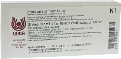 ARTERIA CEREBRI media GL D 6 ampoules - UKDorf