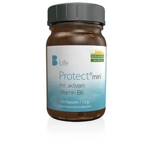 B-LIFE Protect mini, vitamin b6 and magnesium, zinc UK
