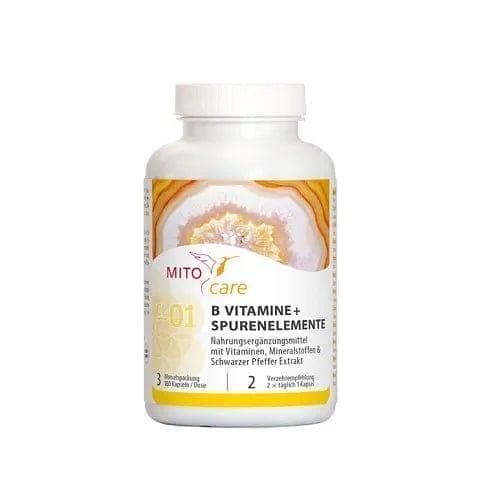 B-VITAMINS + trace elements, chrome, iron, iodine, copper, molybdenum, manganese - UKDorf