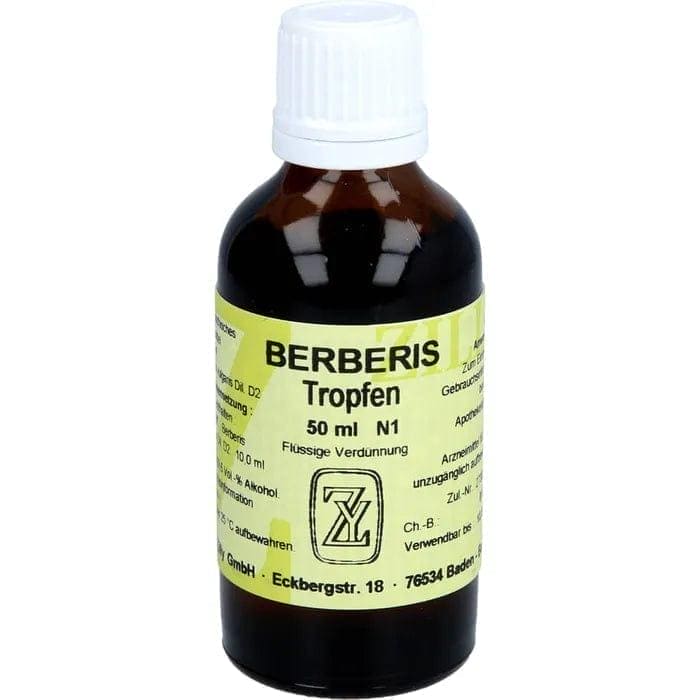 Berberis vulgaris, kidney, heart, liver disease, depression, hyperlipidemia, hyperglycemia - UKDorf