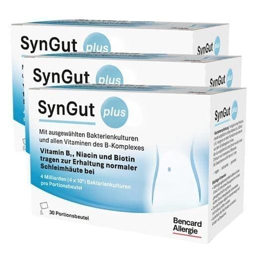 Bifidobacterium, SynGut symbiotic economy set - UKDorf