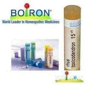 Boiron Rhus Toxicodendron, irritable, anxious, restless, delusional disorder