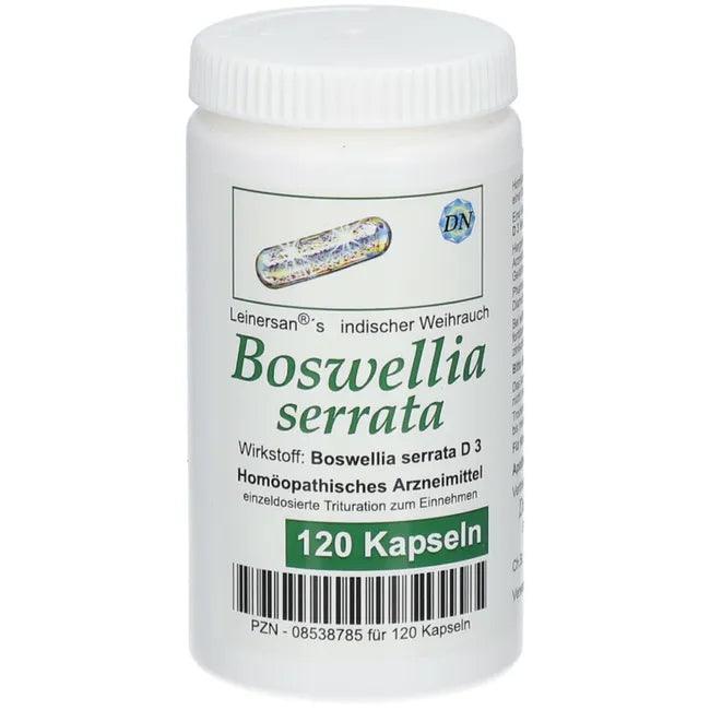 BOSWELLIA SERRATA, Leinersan®s Indian incense Boswellia serrata - UKDorf