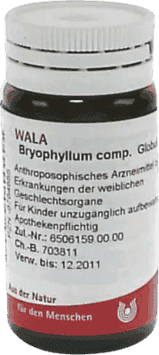 BRYOPHYLLUM, climacteric symptoms, premenstrual syndrome - UKDorf