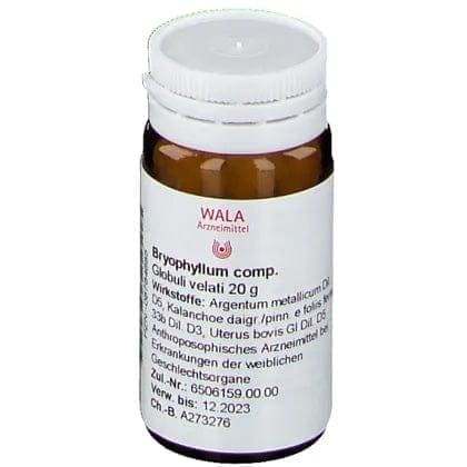 BRYOPHYLLUM, climacteric symptoms, premenstrual syndrome - UKDorf