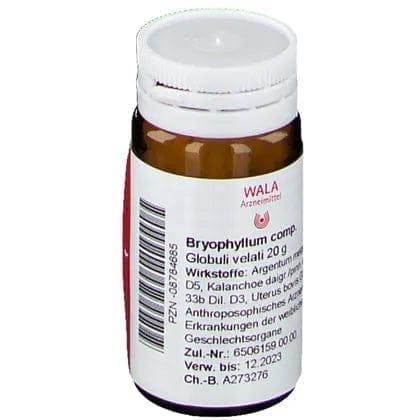 BRYOPHYLLUM, climacteric symptoms, premenstrual syndrome - UKDorf