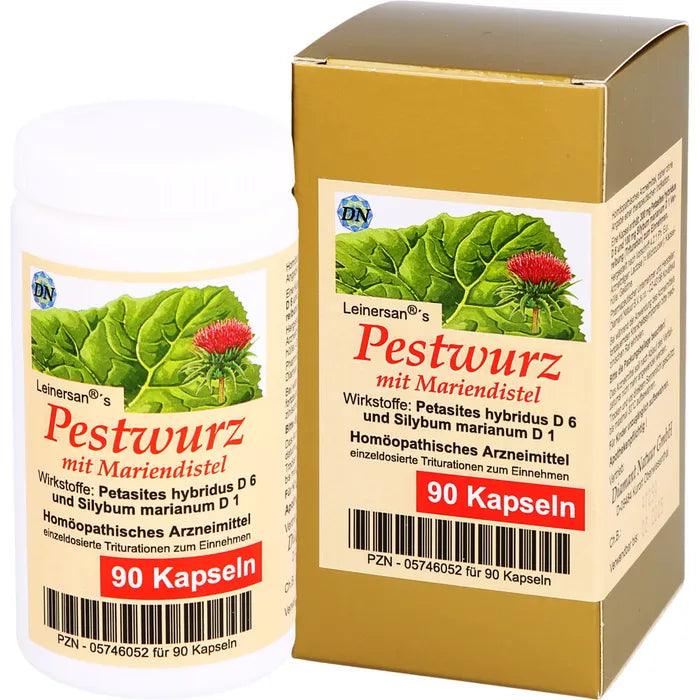 Butterbur with milk thistle capsules, butterbur migraine, petasites hybridus - UKDorf