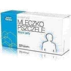 DAIRY MILK | DAIRY COLLECTION MESH x 32 capsules UK