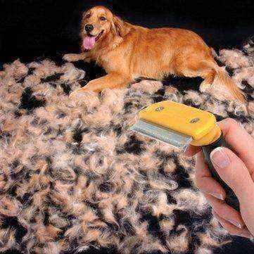 Dog shedding brush UK