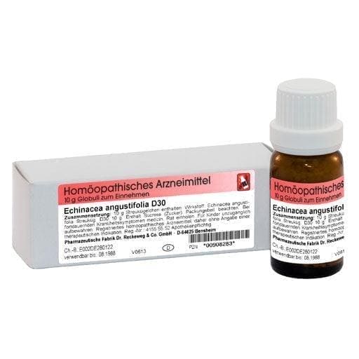 ECHINACEA ANGUSTIFOLIA, yeast infection, yeast infection treatment - UKDorf