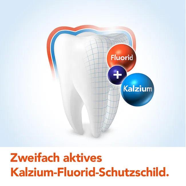 ELMEX menthol-free toothpaste with folding box - UKDorf