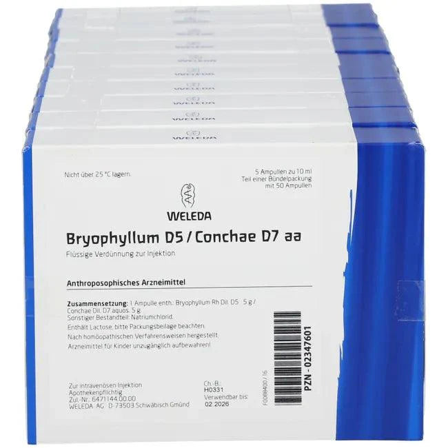 Excitement, restless, difficulty falling asleep, exhausted, BRYOPHYLLUM ampoules - UKDorf