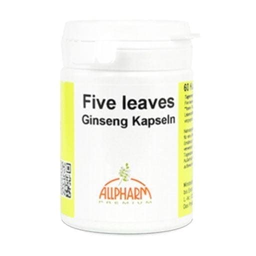 FIVE leaves Ginseng Allpharm Premium Capsules - UKDorf