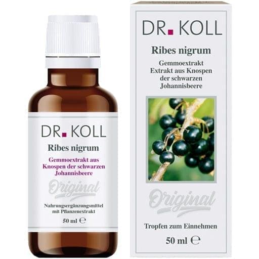 GEMMO EXTRACT, black currant, ribes nigrum buds - UKDorf