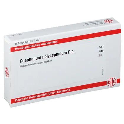 GNAPHALIUM POLYCEPHALUM D 4 ampoules - UKDorf