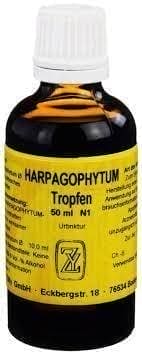 Harpagophytum procumbens, devils claw, lower back pain - UKDorf