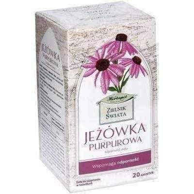 Herbarium of the World echinacea purpurea x 20 sachets, echinacea tea UK