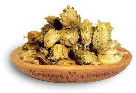 Hop cone 20g UK