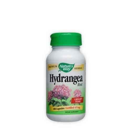 Hydrangea Root 415 mg 100 capsules UK