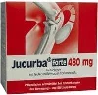 JUCURBA forte, Kalahari Desert, South Africa, devil's claw, musculoskeletal system - UKDorf