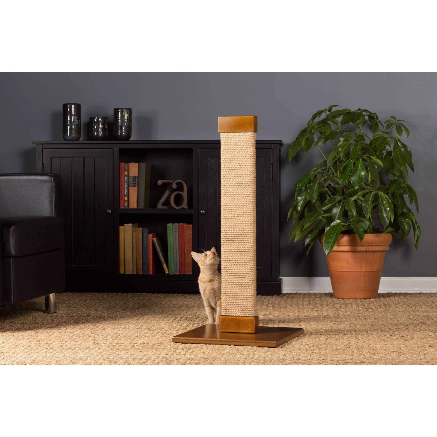Kitty cat scratching post UK