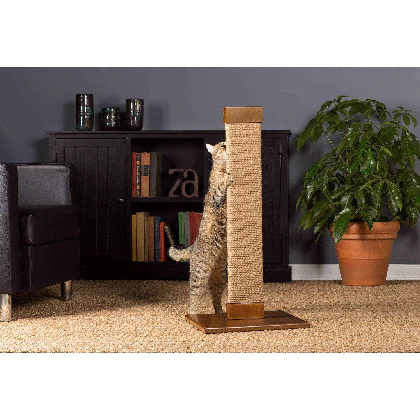 Kitty cat scratching post UK