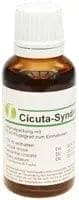 Meningitis, apoplexy, dizziness, Oenanthe crocata, muscle spasm, CICUTA SYNDROME - UKDorf