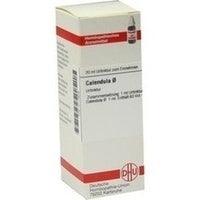 MERCURIUS AURATUS LM 6 Dilution - UKDorf