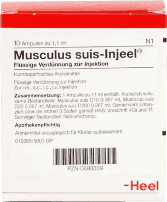 Myotonia, muscular dystrophy, atrophy, debility, MUSCULUS SUIS Injeel ampoules - UKDorf