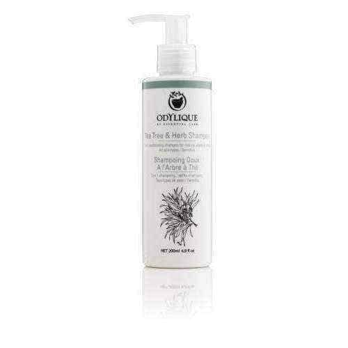 Odylique Shampoo from tea tree and herbs 200ml, tea tree shampoo UK