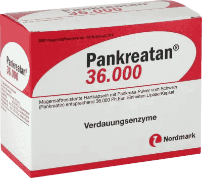 Pancreatin enzyme, enzymes PANKREATAN 36,000 - UKDorf