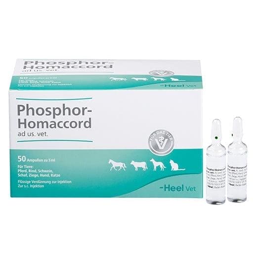 PHOSPHOR HOMACCORD ad us.vet.ampoules - UKDorf