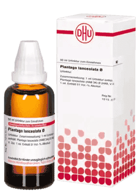 PLANTAGO LANCEOLATA mother tincture - UKDorf