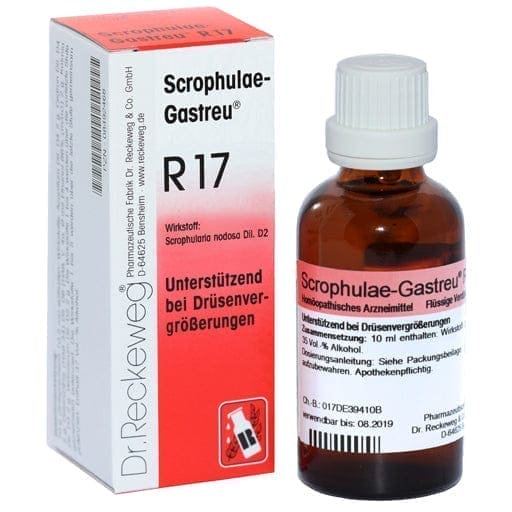 Prostate gland enlarged treatment, glandular fever and tiredness, SCROPHULAE-Gastreu R17 mixture - UKDorf