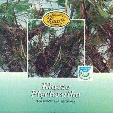 Rhizome 50g UK