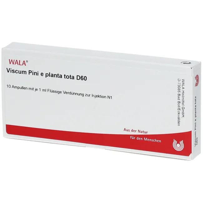 Viscum album, VISCUM PINI e planta tota D 60 ampoules - UKDorf