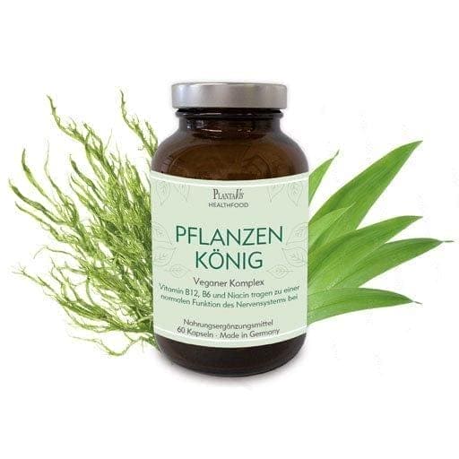 Vitamin d, B12, IRON, IODINE, PLANT KING, vegan complex capsules - UKDorf
