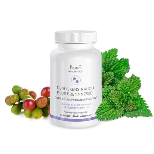 WIG STREAK plus, stinging nettle, capsules - UKDorf
