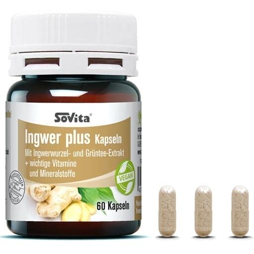 Zingiber officinale, green tea, ginger root, SOVITA ginger plus capsules - UKDorf