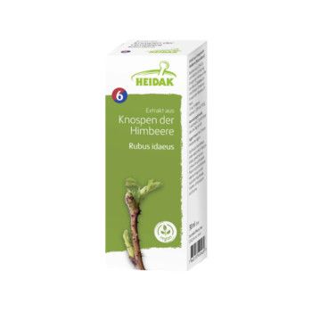 https://www.pestalozzi.de/documents/products/FotoMittel/13306249.jpg?ver=1775041441
